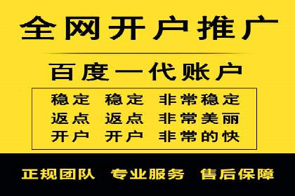 揭秘百度竞价代理：实战案例分析